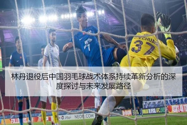 林丹退役后中国羽毛球战术体系持续革新分析的深度探讨与未来发展路径