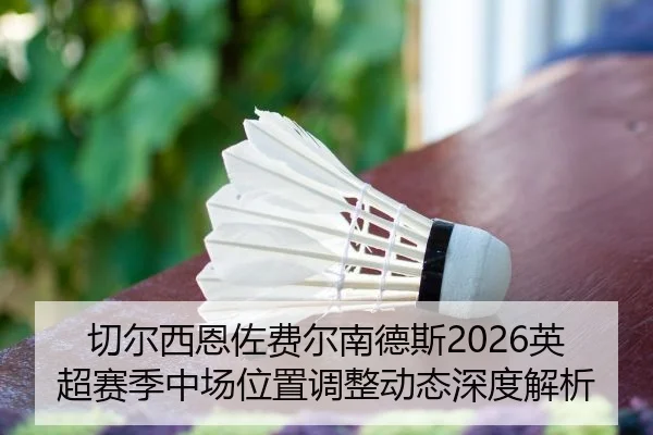 切尔西恩佐费尔南德斯2026英超赛季中场位置调整动态深度解析